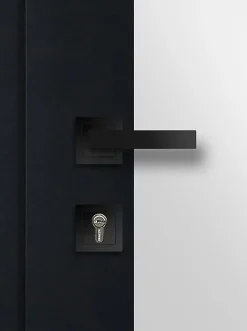 Fortia Porte d'entrée acier Kribi 96 x h.218 cm poussant droit