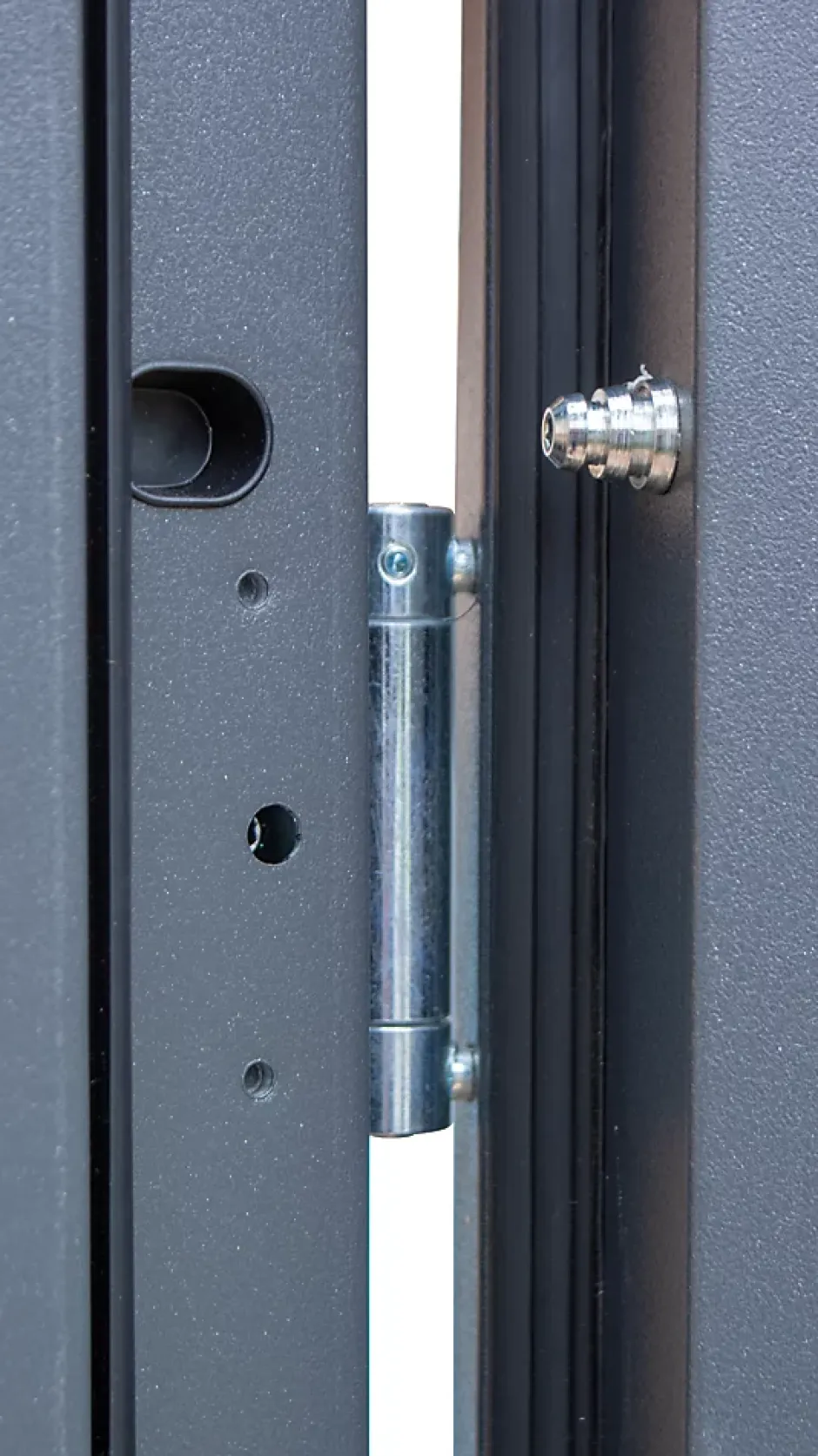 Fortia Porte d'entrée acier Scilla 96 x h.218 cm poussant droit