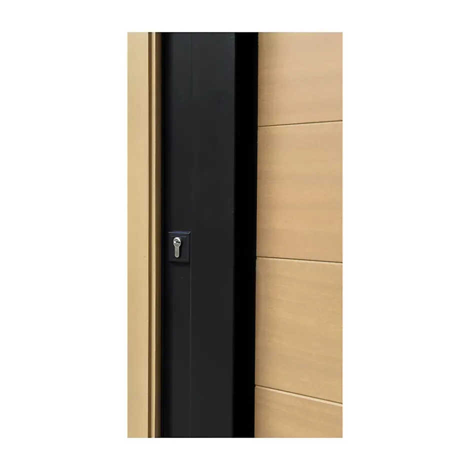 Porte d'entrée bois Sassel 98 x h.218 cm poussant droit-Fortia Sale