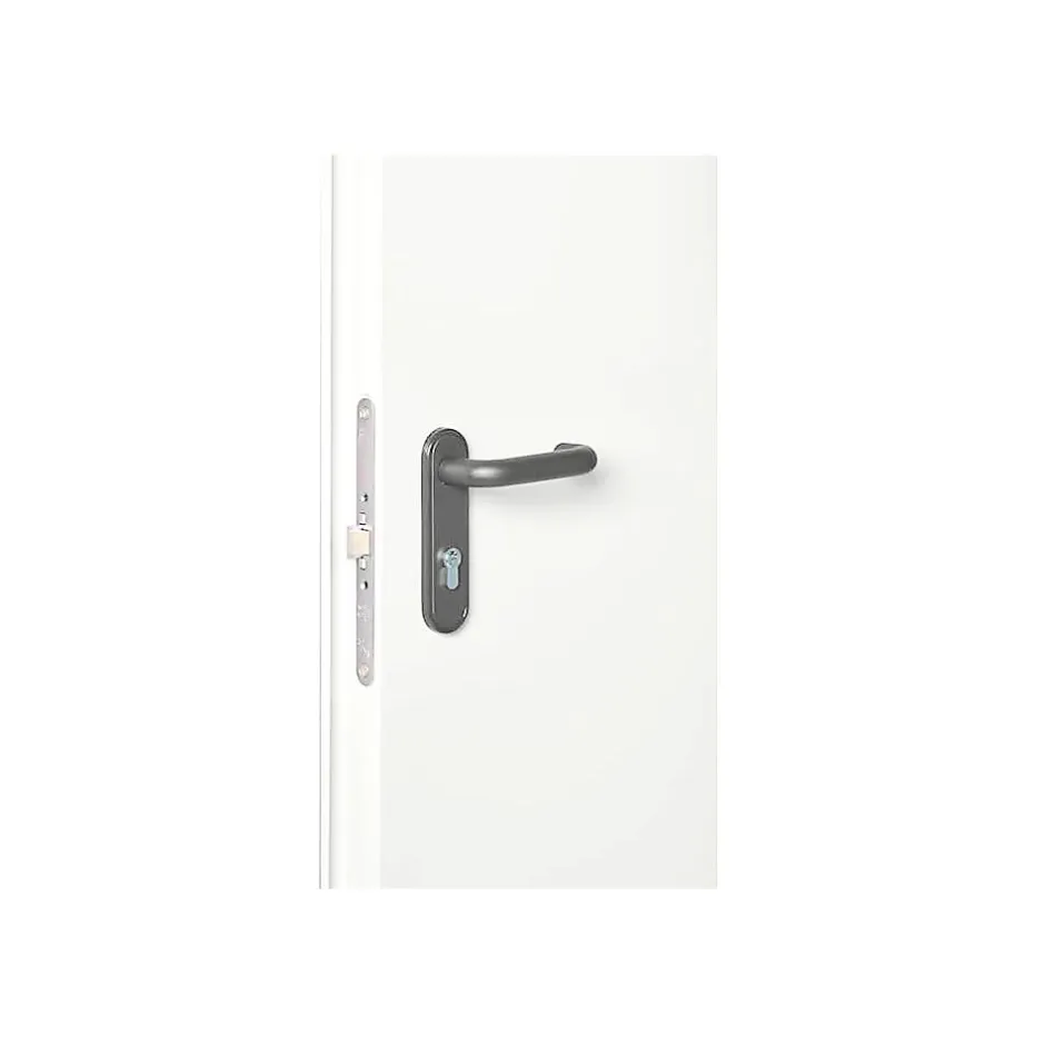 Porte Métallique Industrielle De Service Isolée Réversible L1000 H2150 RAL9010 En Applique-4M Hot