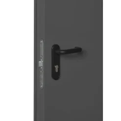 4M Porte Métallique Industrielle De Service Isolée Réversible L1000 H2050 RAL7016 En Applique