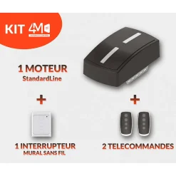 Porte Sectionnelle Motorisée StandardLine Linteau 100mm Lisse Blanc Ral 9016 L2250xH2250-4M Sale