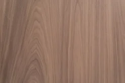 Porte seule isoplane INDUS bois noyer 2040 x 730-Lynporte Best