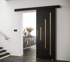 Abiks Meble Portes coulissantes Salwador Y 80x204 cm (Noir / Noir / Or)