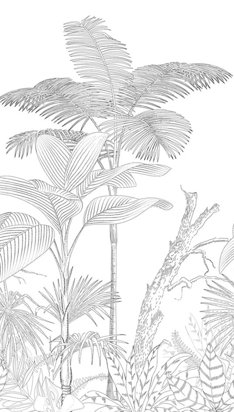 Profhome 392141-GU Papier peint photo lisse mat 1,59 m x 2,8 m