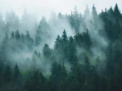 398981-GU Papier peint photo lisse mat 3,71 m x 2,8 m-Profhome Outlet