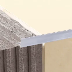 Diall Profilé de carrelage intérieur droit aluminium brut chromé lisse L.2,5m x l.2,2cm x ep.10mm