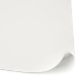 Diall Revêtement de rénovation lisse à peindre thermique 300g/m² L.10 m (Vendu au rouleau)