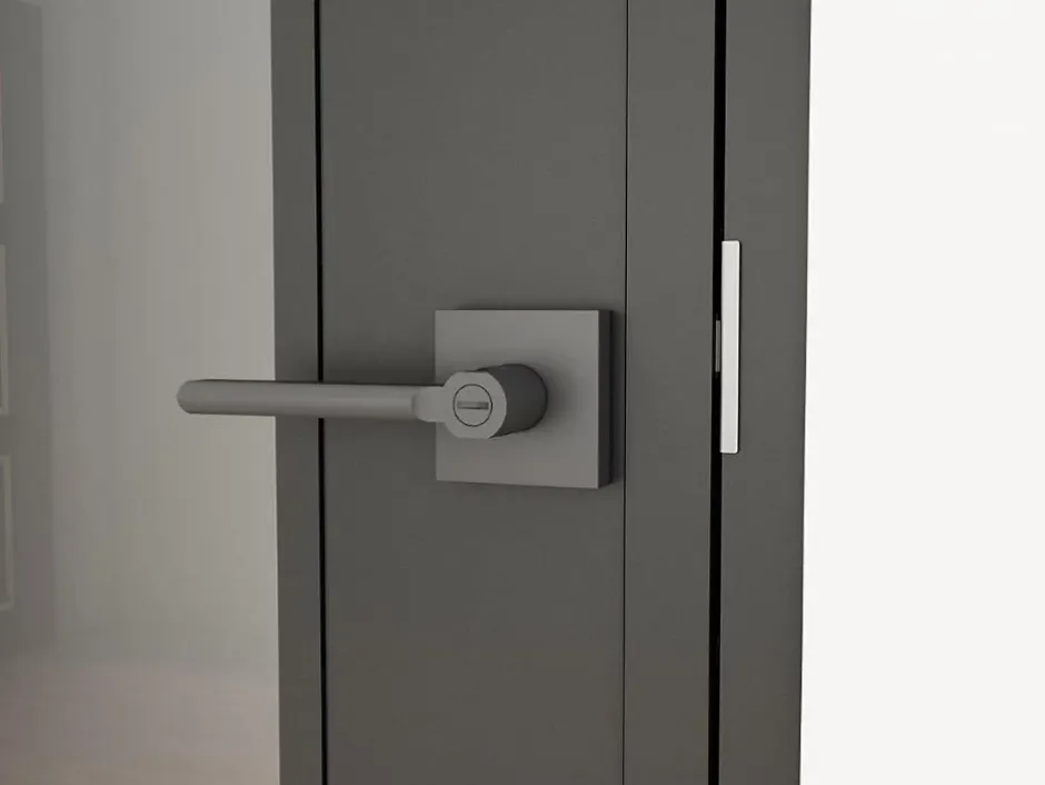 Porte intérieure en verre - 83x 211 cm- atelier - transparent - 3 rayures- gauche serrure-Schulte Online