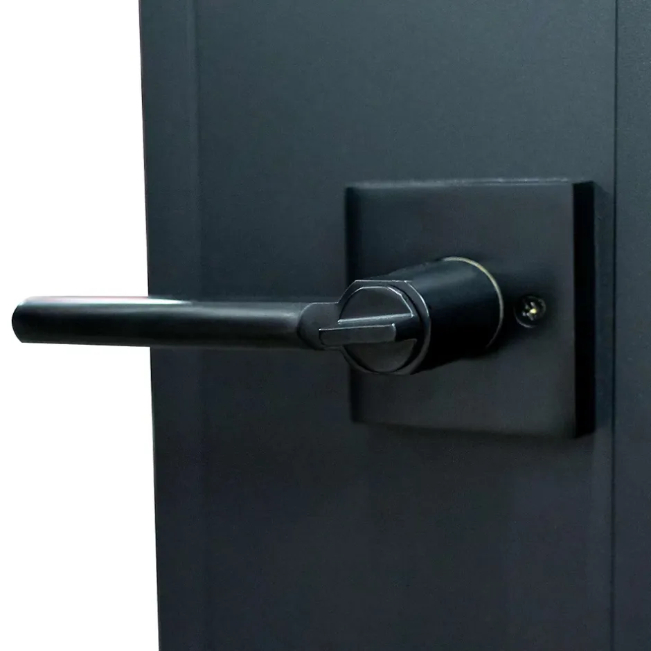 Porte intérieure en verre - 83x 211 cm- atelier - transparent - 3 rayures- gauche serrure-Schulte Online