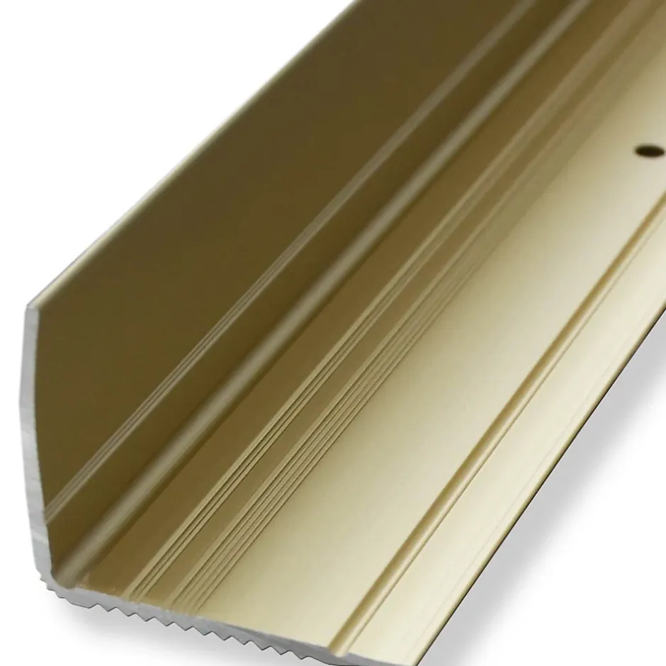 Seuil d'escalier Pré-percé, Forme: L 30 x 20 mm, Longueur: 100 cm, Or-Floordirekt Outlet