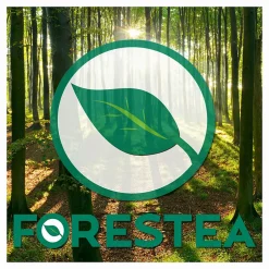 Sol stratifié effet parquet ép 8 mm Twilight Sterling Oak boite de 9 lames soit 2,22 m2 KO Supernatural Classic K482-Forestea Outlet