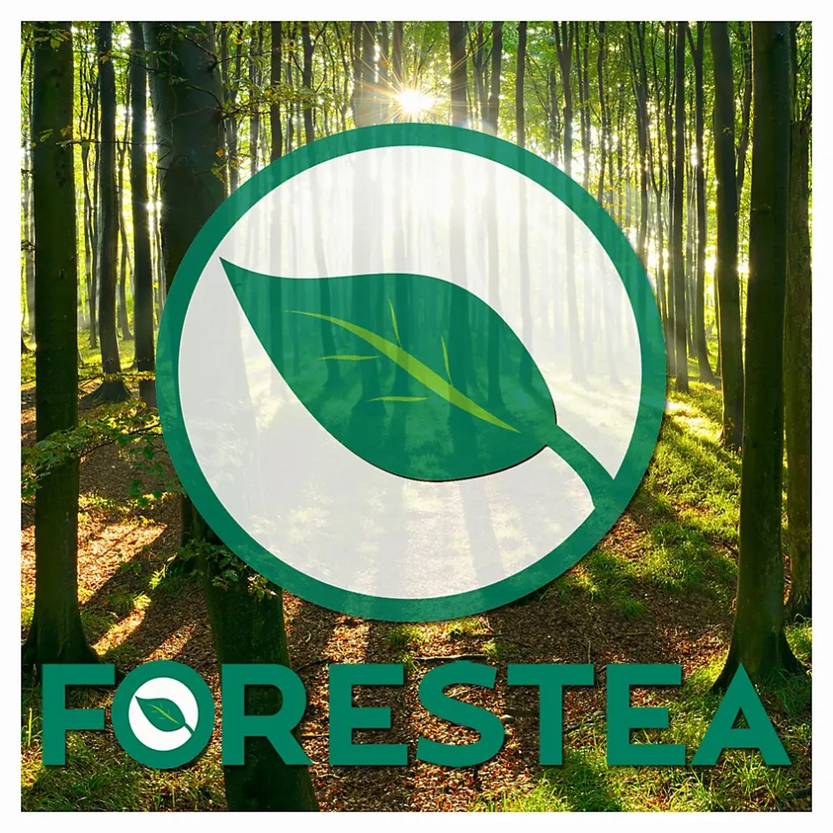 Sol stratifié effet parquet ép 8 mm Twilight Sterling Oak boite de 9 lames soit 2,22 m2 KO Supernatural Classic K482-Forestea Outlet