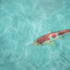 Sol vinyle Textile - effet poisson Koï japonais - Echantillon 15 x 20 cm-Décoweb Discount