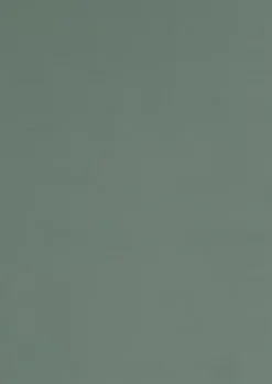 Tablette mélaminée Ninna couleur vert olive 250x50x1.8 Cm-