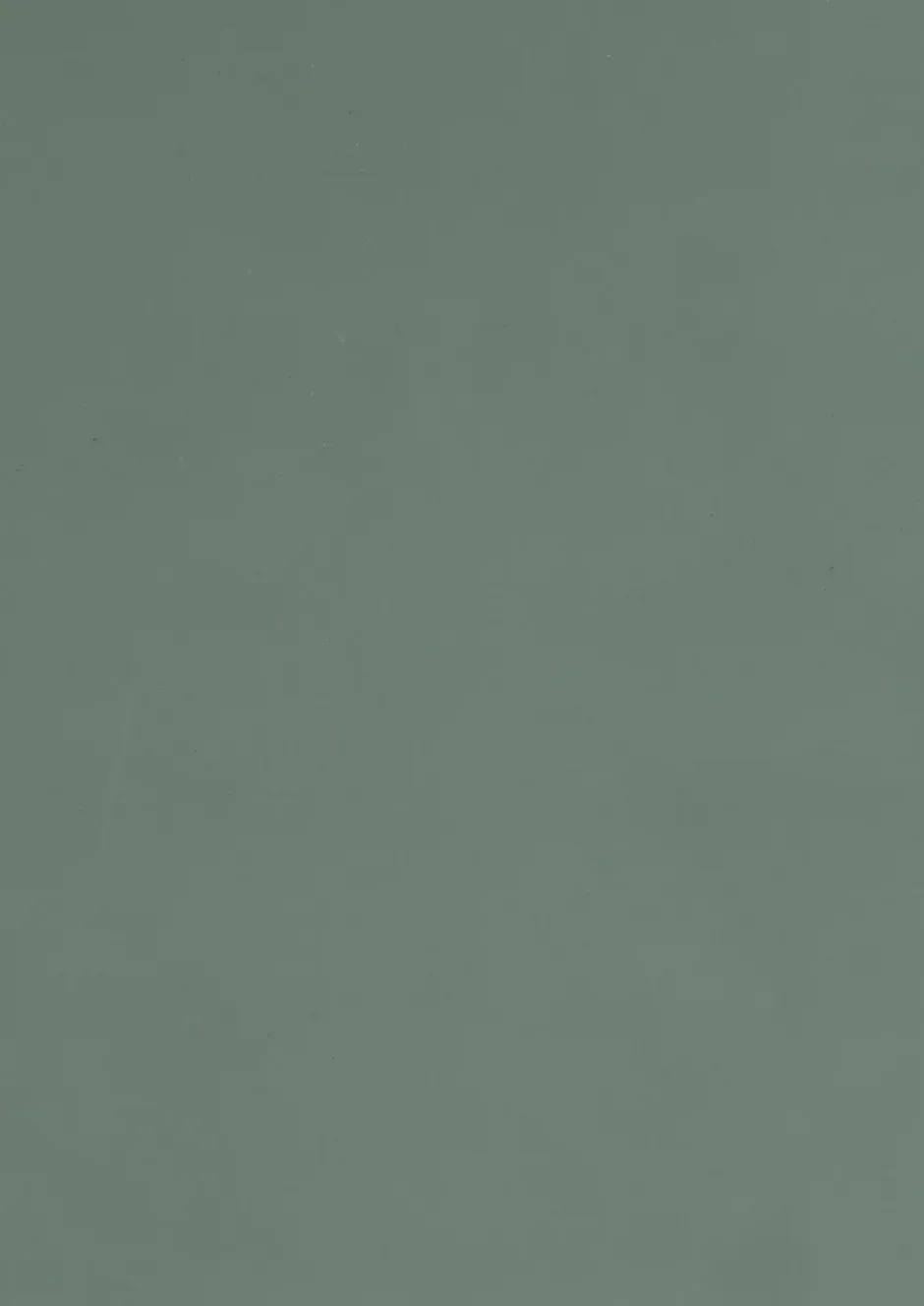 Tablette mélaminée Ninna couleur vert olive 250x50x1.8 Cm-