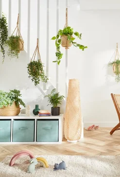 Tasseau traité épicéa 38 x 38 mm x L.2,4 m-