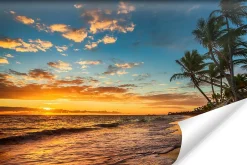 Muralo Vlieseline Papier Peint Photo COUCHER DE SOLEIL Plage Mer Paysage 3D 315cm x 210cm