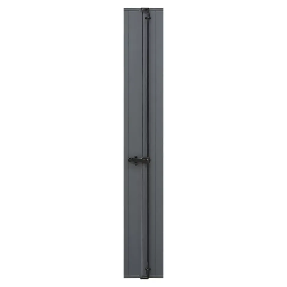 Fortia Volet battant aluminium anthracite - l.120 x H.225 cm - 2 vantaux