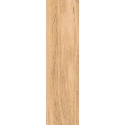 Allocarrelage 30x120 Lot 2 Dalles ép. 20mm Aspect Bois Hermitage Miel R11 -